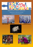 Flyer 2021 Wijkcentrum De Pol Zwolle